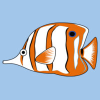 BUTTERFLYFISH - Sew N Stitches DryBlend ® 50 Cotton/50 Poly T Shirt Design