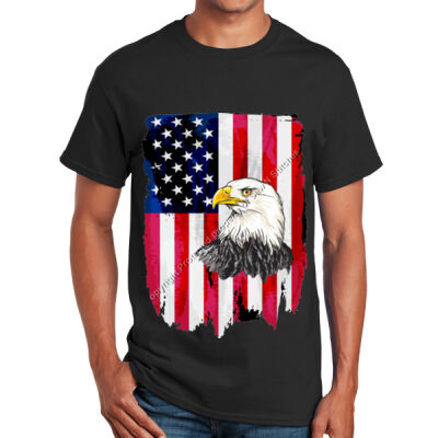 Sew N Stitches American Eagle Flag Shirt Thumbnail