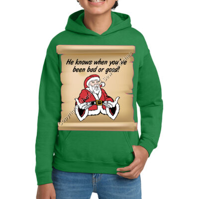 HE KNOWS WHEN YOU'VE BEEN BAD OR GOOD Gildan YOUTH Hoodie Thumbnail