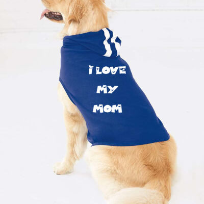 I LOVE MY MOM - DOGGIE SKINS - Doggie Baby Rib Gameday Hoodie Thumbnail