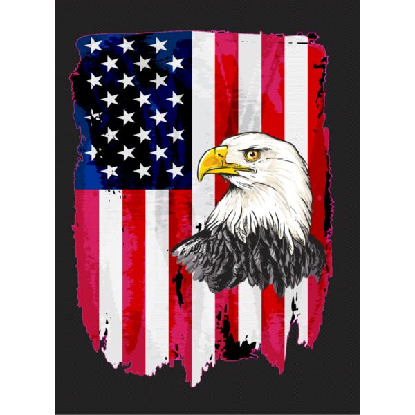 American Eagle Flag Shirt Thumbnail