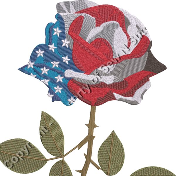 ROSE AMERICAN Thumbnail