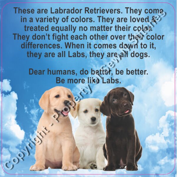 Labrador Puppies Shirt Thumbnail