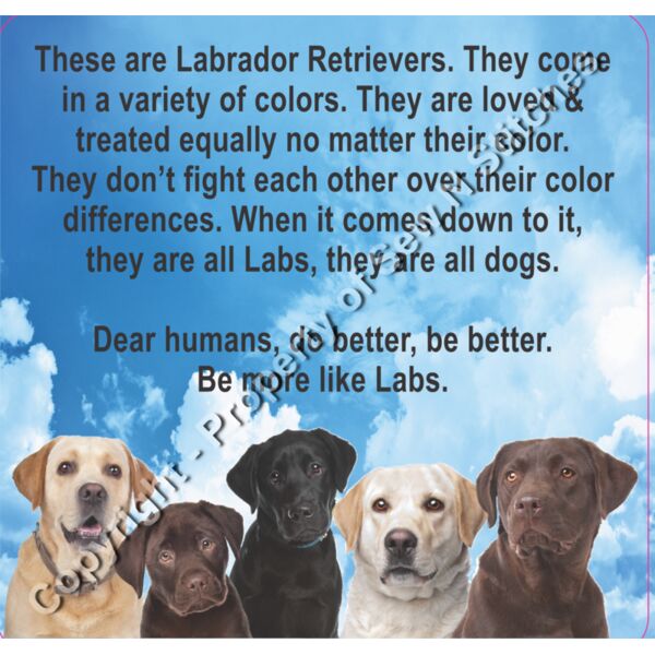Adult Labradors Shirt Thumbnail