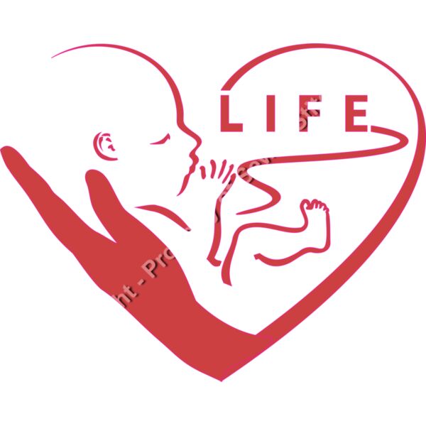 Pro-Life Baby in Hand and Heart Thumbnail