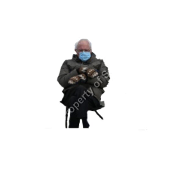 BERNIE NO BACKGROUND Thumbnail