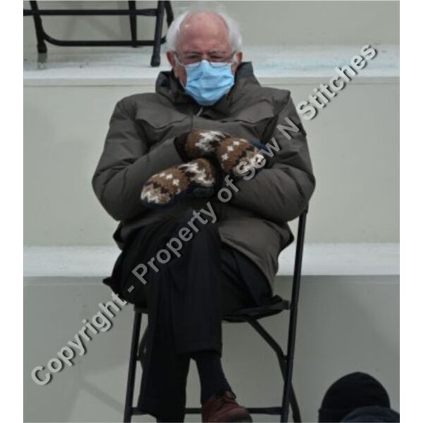 BERNIE WITH WIDE BACKGROUND Thumbnail