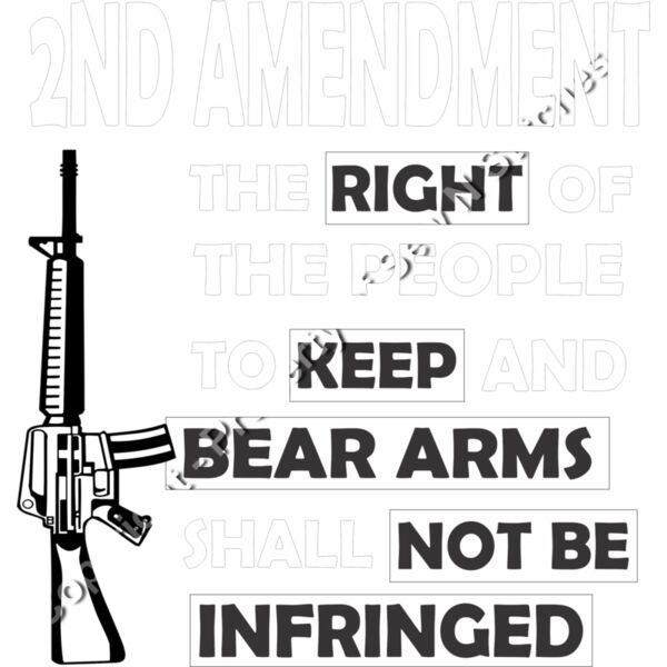 2ND AMENDMENT RIGHT TO BEAR ARMS AR Thumbnail