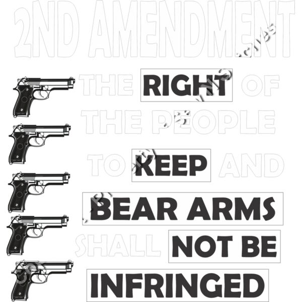 2ND AMENDMENT RIGHT TO BEAR GUNS Thumbnail