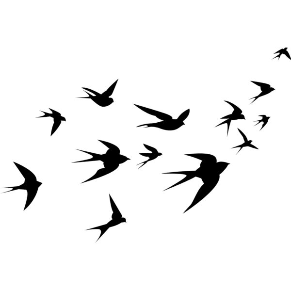 BARN SWALLOWS LIKE DAVID ROSE SWEATER Thumbnail