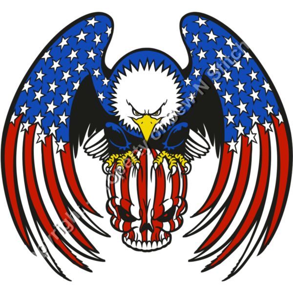 EAGLE SKULL FLAG Thumbnail