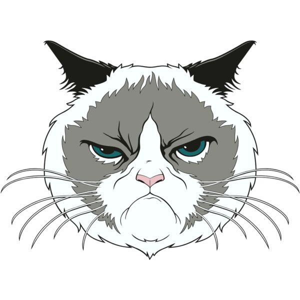 GRUMPY CAT Thumbnail