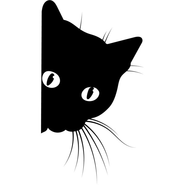 BLACK FACE CAT PEEKING Thumbnail
