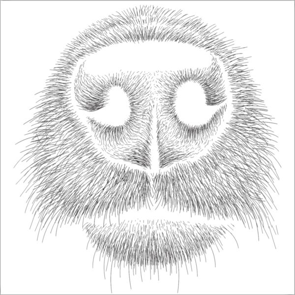 DOG NOSE Thumbnail
