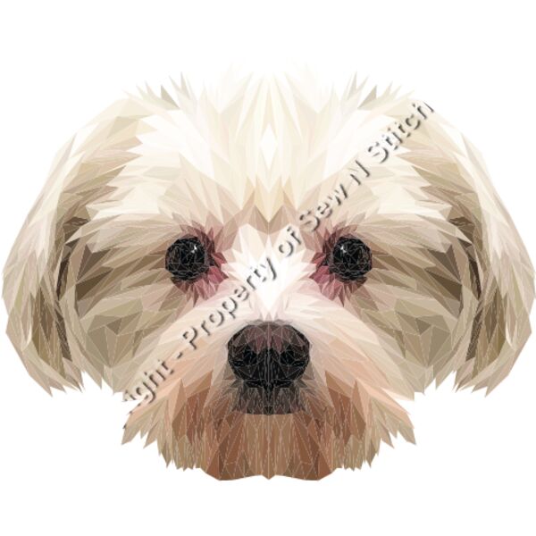 MALTESE SHIH TZU Thumbnail