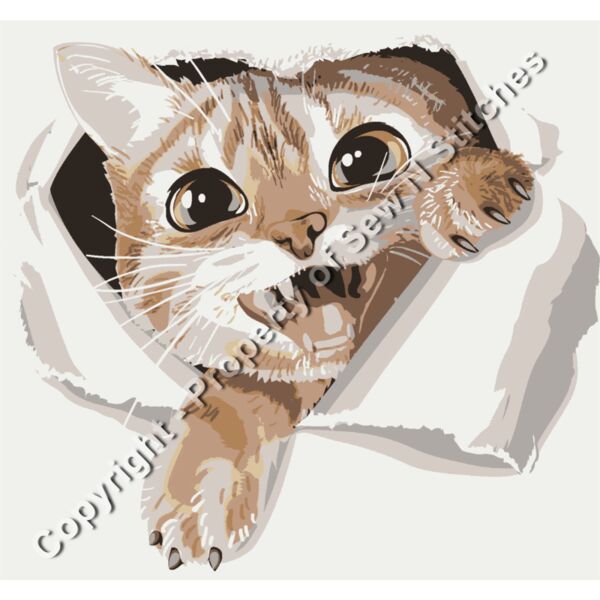 CAT PEEKING OUT FROM A TEAR Thumbnail