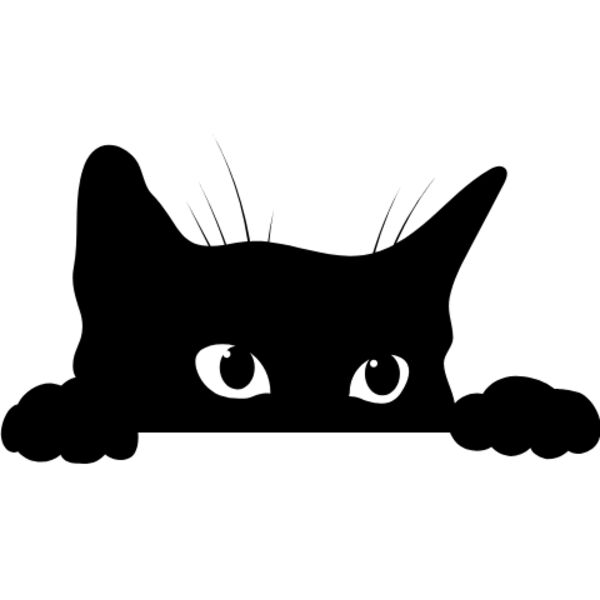 CATLOOKINGOVEREDGE Thumbnail