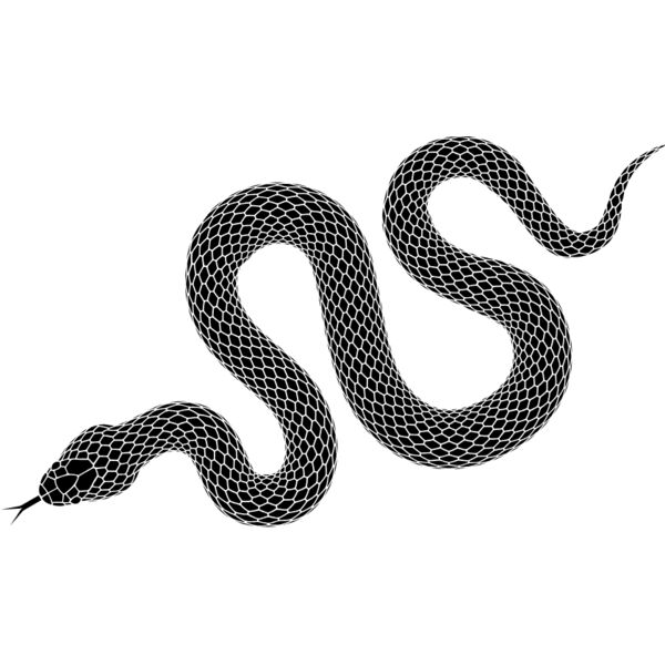 SERPENT ANGLED Thumbnail