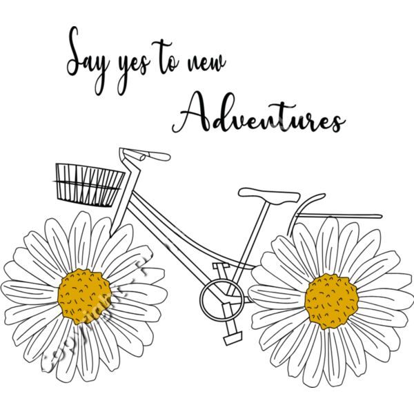 DAISY WHEEL BICYCLE Thumbnail