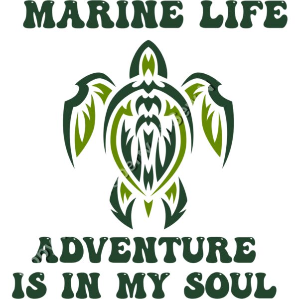 MARINE LIFE IS IN MY SOUL Thumbnail