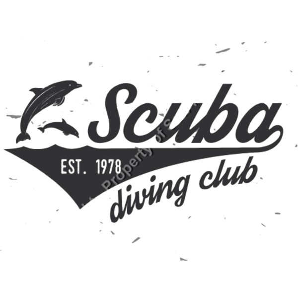 DOLPHIN SCUBA DIVING CLUB Thumbnail