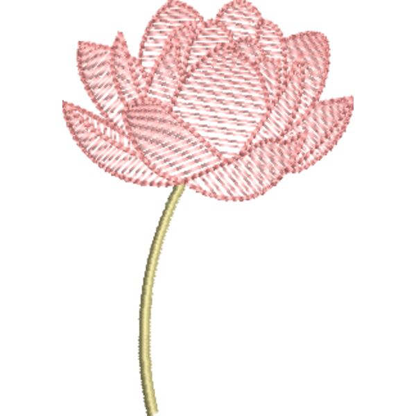 LILY TEMPLATE Thumbnail