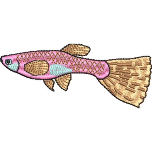 GUPPY FISH Thumbnail
