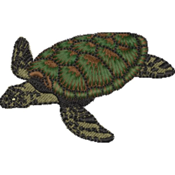 SEA TURTLE TEMPLATE Thumbnail