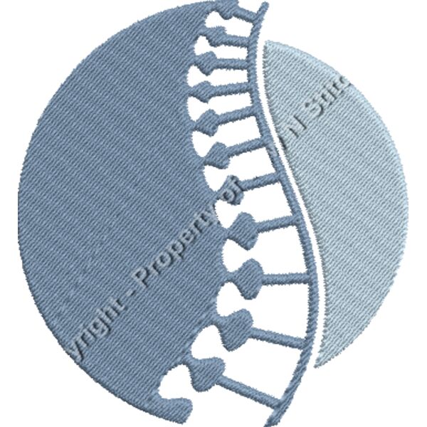 CHIROPRACTIC Thumbnail