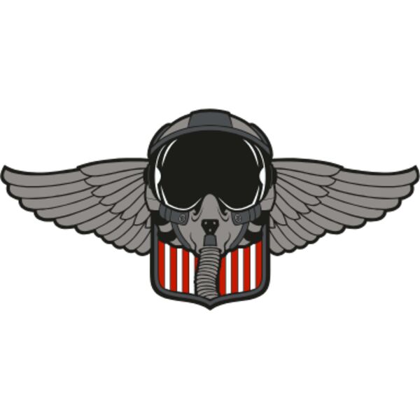 AIR FORCE 4 IN Thumbnail