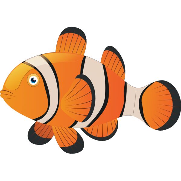 CLOWNFISH TURNED FORWARD Thumbnail