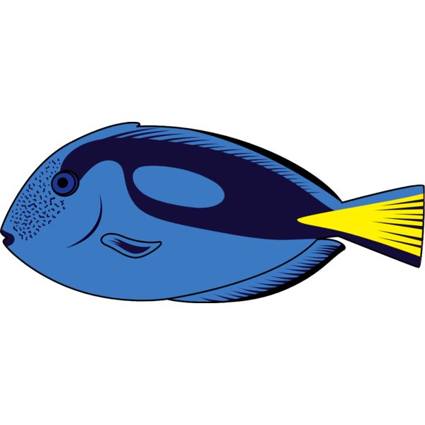 BLUE HIPPO TANG Thumbnail