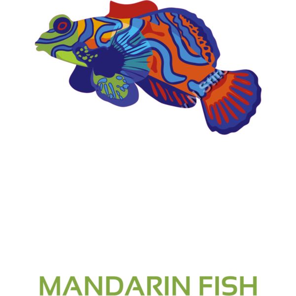 MANDARIN DRAGONET FISH Thumbnail