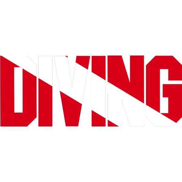 SCUBA DIVING DIVER DOWN FLAG Thumbnail