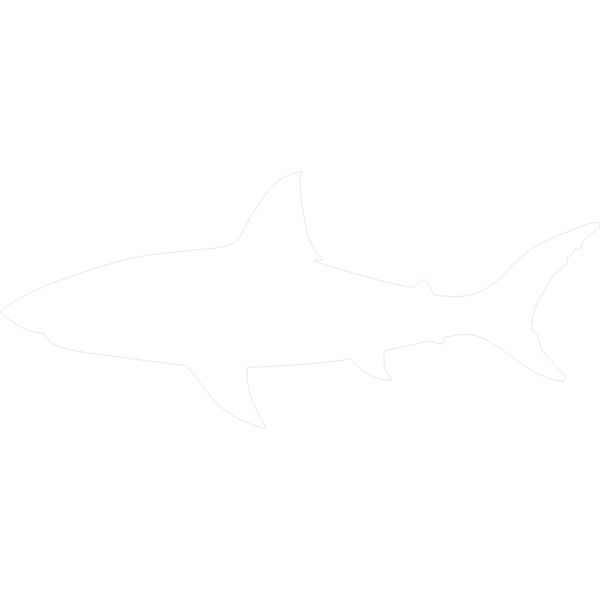 SHARK SHADOW WHITE Thumbnail