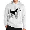 Sport Wick ® Fleece Hooded Pullover Thumbnail