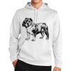Sport Wick ® Fleece Hooded Pullover Thumbnail