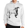 Sport Wick ® Fleece Hooded Pullover Thumbnail