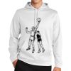 Sport Wick ® Fleece Hooded Pullover Thumbnail