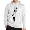 Sport Wick ® Fleece Hooded Pullover Thumbnail