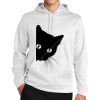 Sport Wick ® Fleece Hooded Pullover Thumbnail