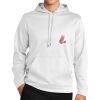 Sport Wick ® Fleece Hooded Pullover Thumbnail